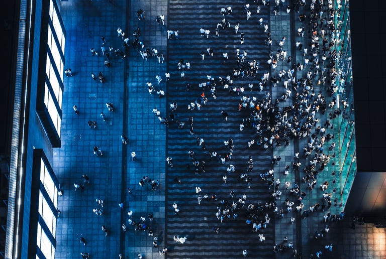 Content & Audience Strategy