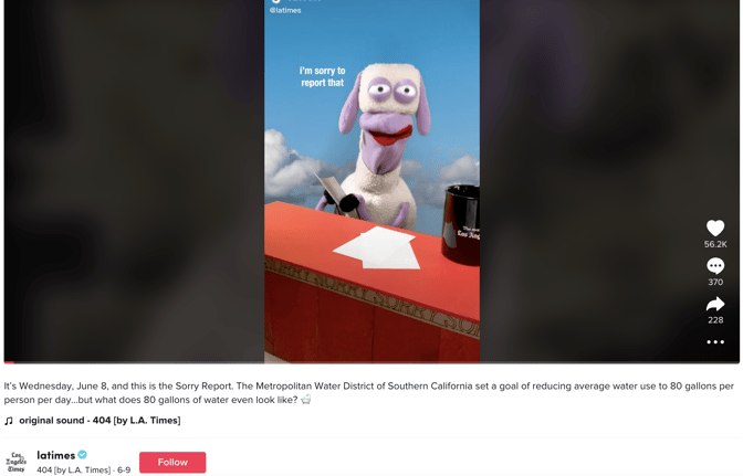 LA Times on TikTok: Judeh the sheep reports on the Southern California megadrought
